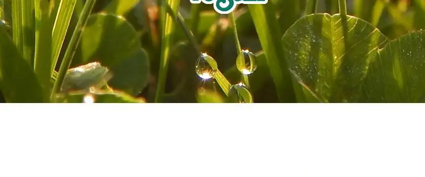 [카이스트특허기술] 그래비티 헤어리프팅 샴푸 스트롱 475ml+475ml 리필 기획(+30ml 2개 증정) 상세페이지 42